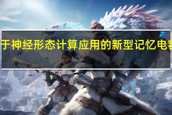 用于神经形态计算应用的新型记忆电容器设备