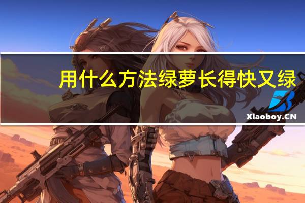 用什么方法绿萝长得快又绿