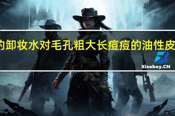 用什么牌子的卸妆水对毛孔粗大长痘痘的油性皮肤好而且价格便宜