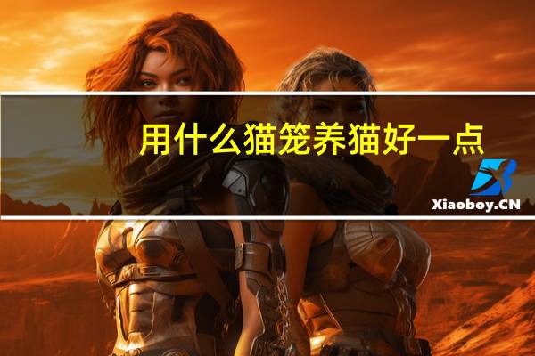 用什么猫笼养猫好一点