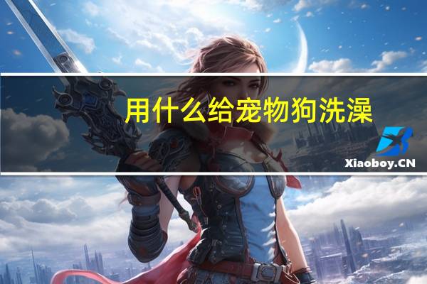 用什么给宠物狗洗澡