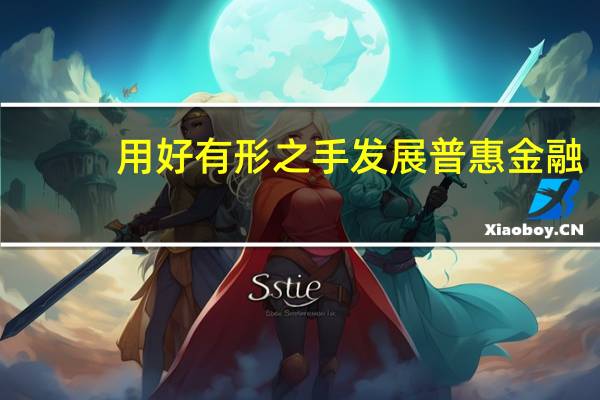 用好有形之手发展普惠金融