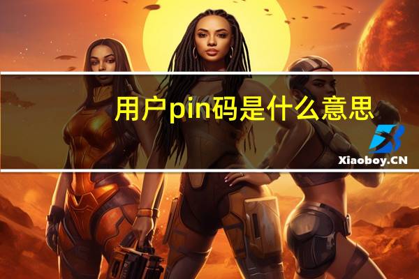 用户pin码是什么意思（pin码是什么意思）