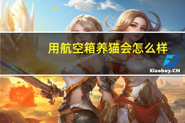 用航空箱养猫会怎么样