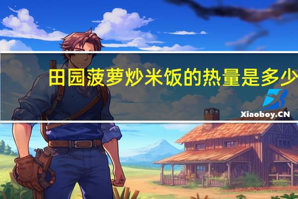 田园菠萝炒米饭的热量是多少