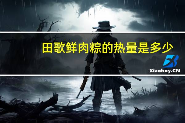 田歌 鲜肉粽的热量是多少