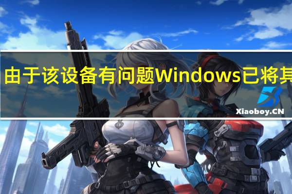由于该设备有问题Windows 已将其停止(代码 43)