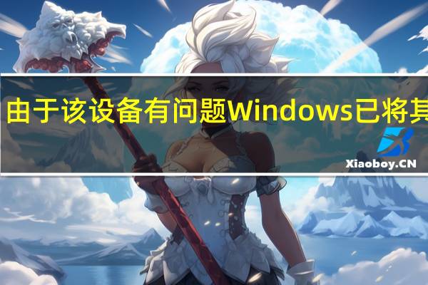 由于该设备有问题Windows 已将其停止(代码 43)