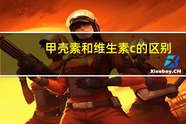 甲壳素和维生素c的区别