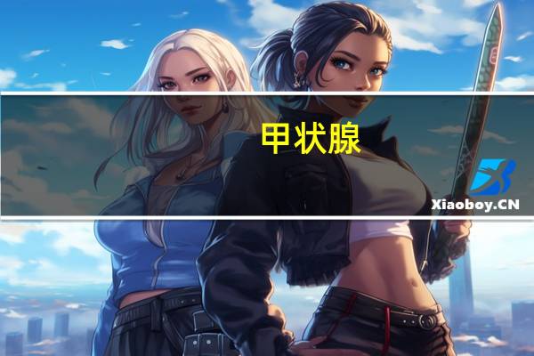 甲状腺（关于甲状腺的介绍）