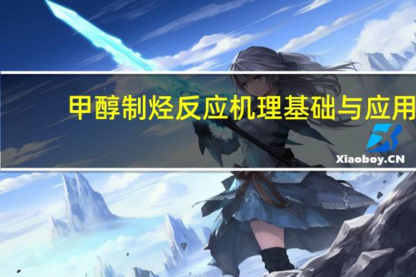 甲醇制烃反应机理基础与应用