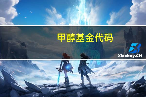 甲醇基金代码（甲醇基金有哪些）