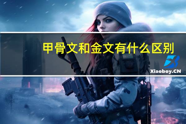 甲骨文和金文有什么区别