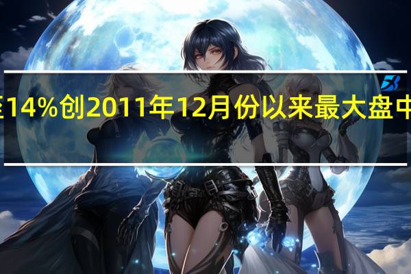 甲骨文跌幅扩大至14%创2011年12月份以来最大盘中跌幅此前财报不及预期