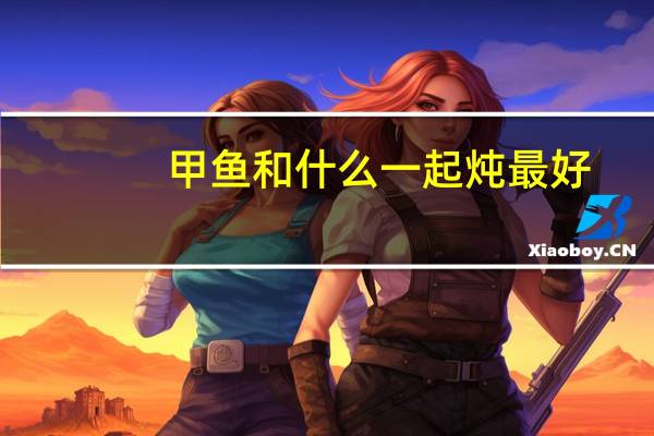 甲鱼和什么一起炖最好