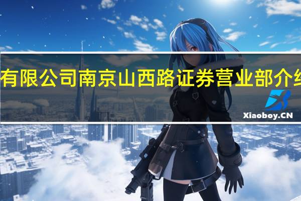 申万宏源证券有限公司南京山西路证券营业部介绍 宏源证券有限公司