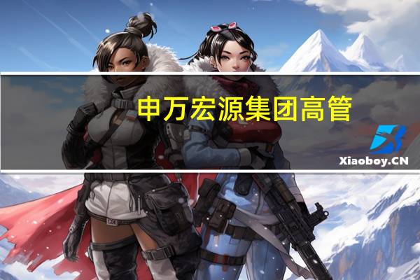 申万宏源集团 高管(储晓明-申万宏源集团股份有限公司董事长介绍)