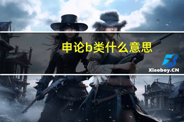 申论b类什么意思