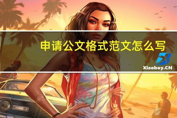 申请公文格式范文怎么写（申请公文格式范文）