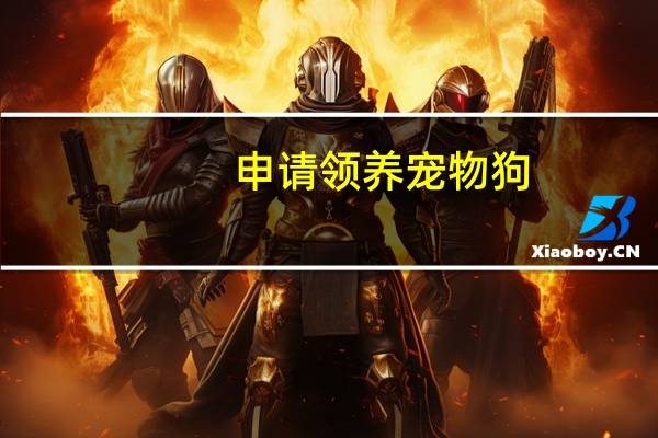 申请领养宠物狗