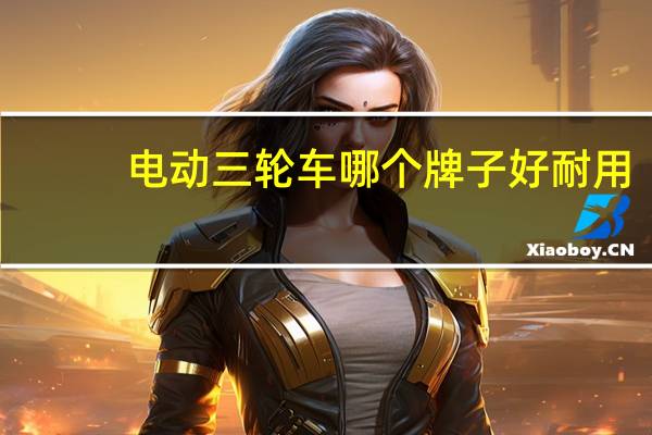 电动三轮车哪个牌子好耐用（电动三轮车哪个牌子好）
