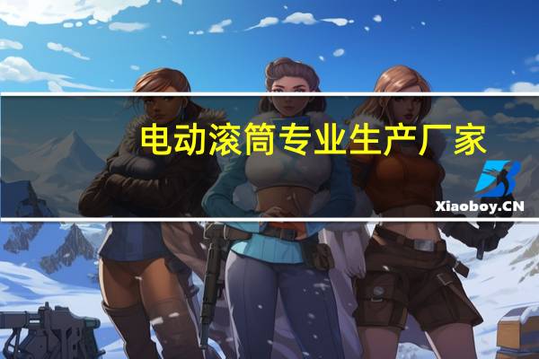 电动滚筒专业生产厂家