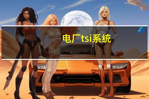 电厂tsi系统（si系统）