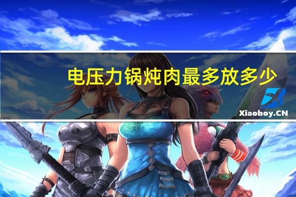 电压力锅炖肉最多放多少