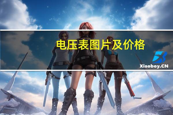 电压表图片及价格（电压表图片）