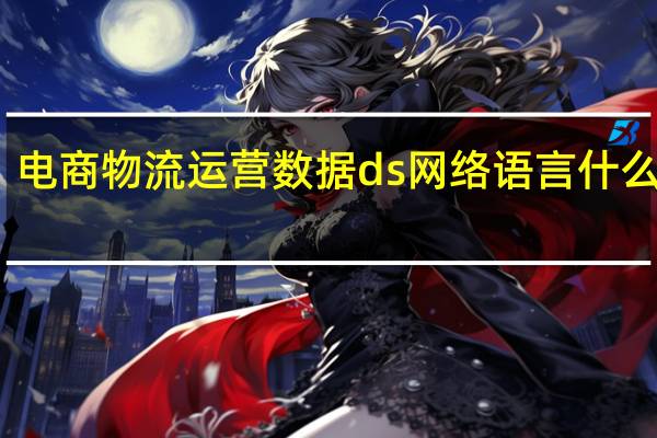 电商物流运营数据 ds网络语言什么意思