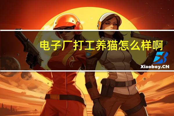 电子厂打工养猫怎么样啊