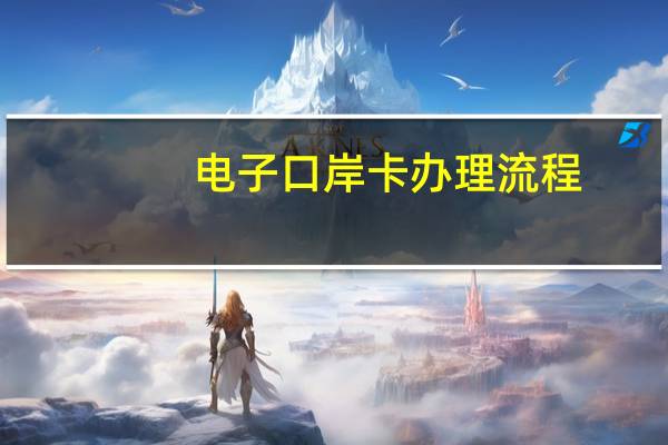 电子口岸卡办理流程（电子口岸卡）