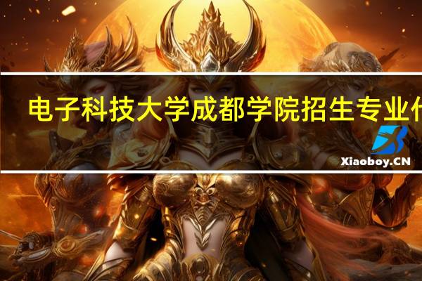 电子科技大学成都学院招生专业代码
