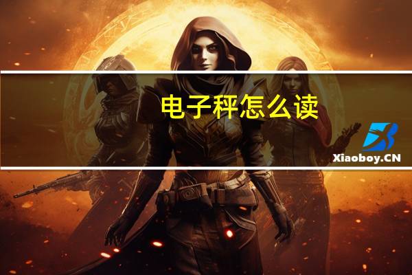 电子秤怎么读（秤怎么读）