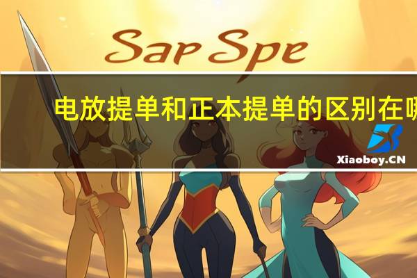 电放提单和正本提单的区别在哪（电放提单和正本提单的区别）