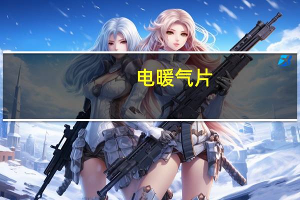 电暖气片（电暖气片）