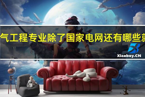 电气工程专业除了国家电网还有哪些就业方向