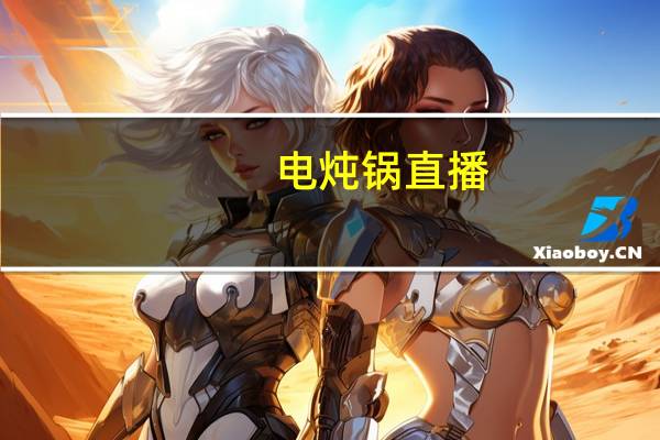 电炖锅直播（电炖锅）