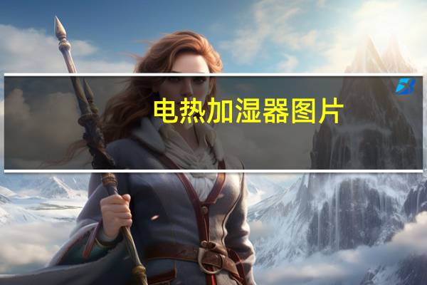 电热加湿器图片（电热加湿器）