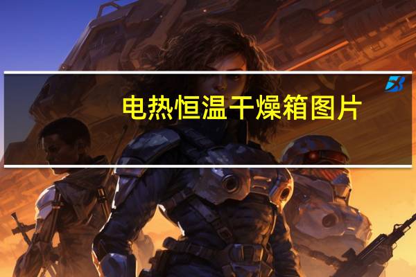 电热恒温干燥箱图片（电热恒温干燥箱）