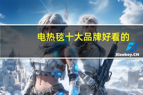 电热毯十大品牌好看的（电热毯十大品牌）