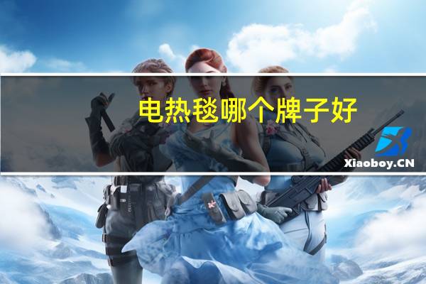 电热毯哪个牌子好（电热毯哪个牌子好）