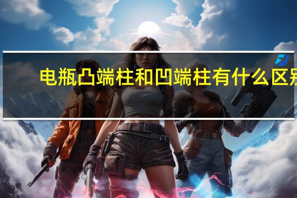 电瓶凸端柱和凹端柱有什么区别