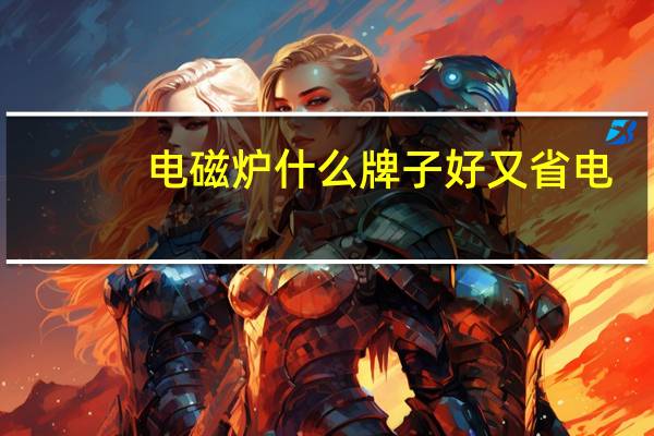电磁炉什么牌子好又省电（电磁炉什么牌子好）