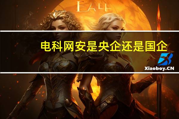 电科网安是央企还是国企