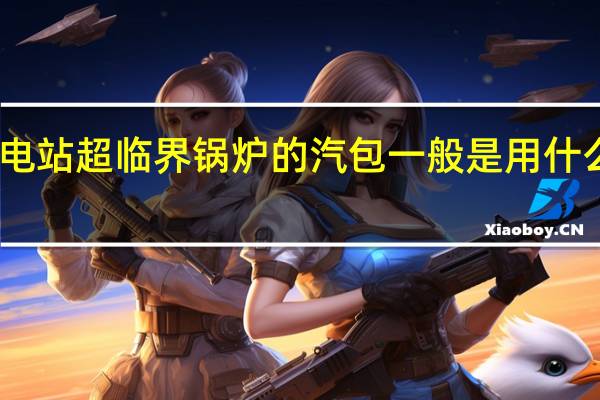 电站超临界锅炉的汽包一般是用什么钢材