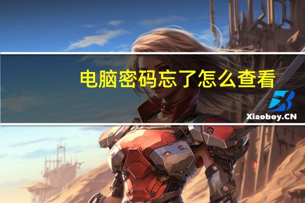 电脑密码忘了怎么查看(电脑密码忘了怎么查看)