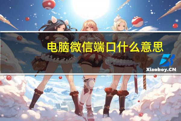 电脑微信端口什么意思（电脑微信端口是什么）