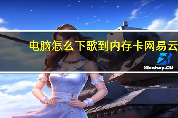电脑怎么下歌到内存卡网易云（电脑怎么下歌到内存卡）