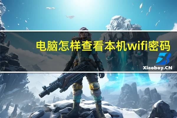 电脑怎样查看本机wifi密码（查看本机wifi密码）